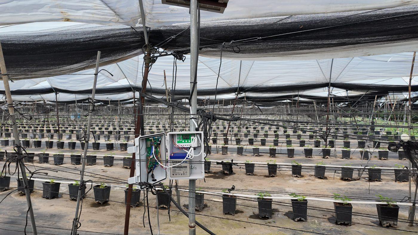 Equipo de OVIX instalado y funcionando en un invernadero de berries, con las camas de macetas al fondo.